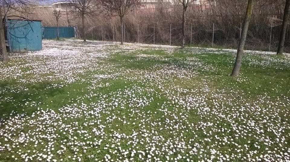 Hotel Rosati ريميني المظهر الخارجي الصورة